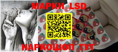 гидропоника Будённовск