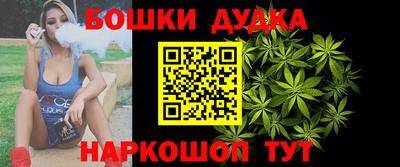гидропоника Будённовск