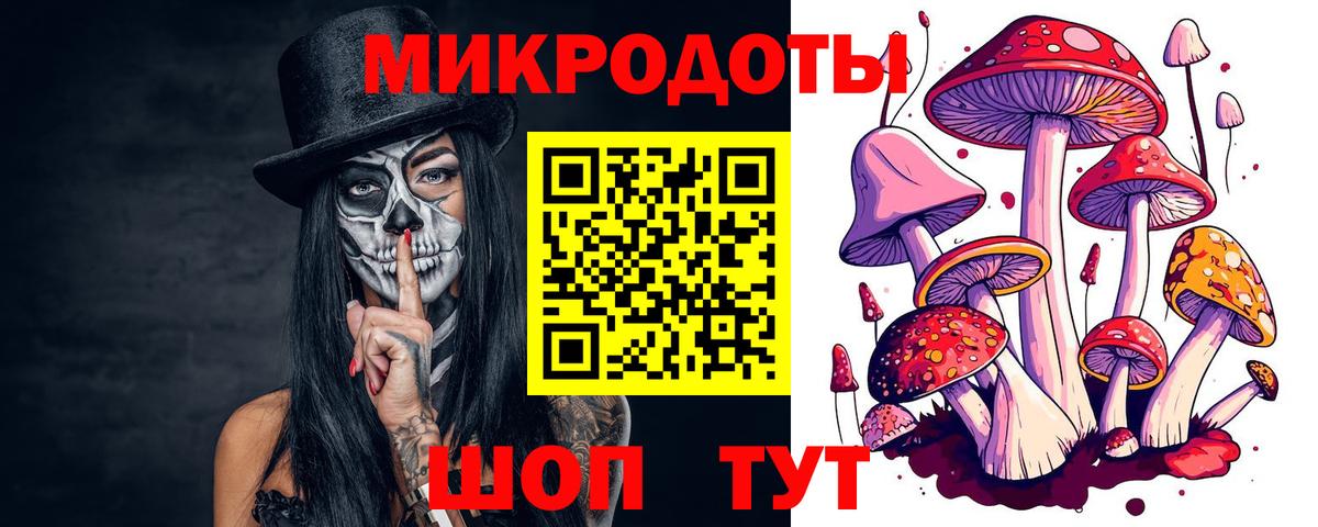 Стрежевой  Псилоцибиновые грибы Cubensis  Вход с VPN 