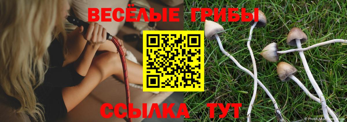 Псилоцибиновые грибы Magic Shrooms Стрежевой